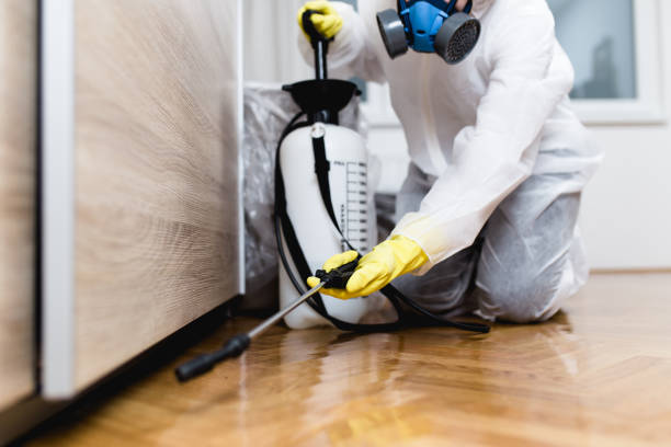 Best Bed Bug Extermination  in Mulberry, NC