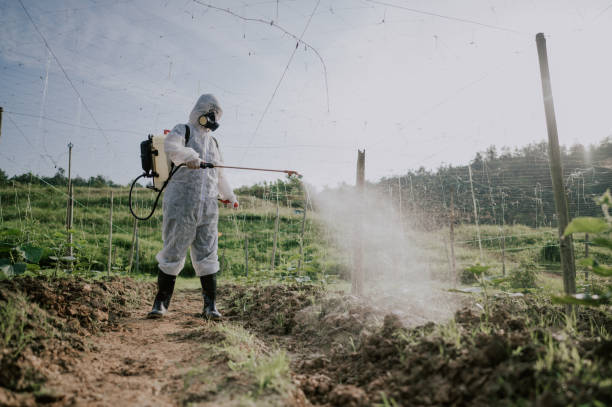 Best Pest Control for Homes  in Mulberry, NC