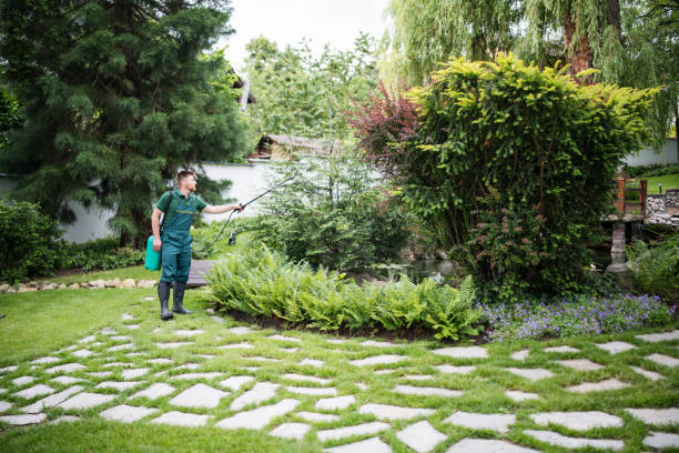 Best Wildlife Control Services  in Mulberry, NC