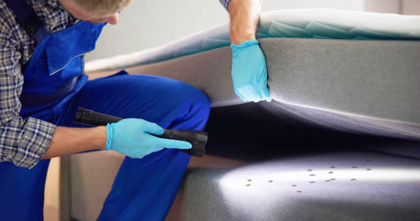 Best Emergency Pest Control  in Mulberry, NC