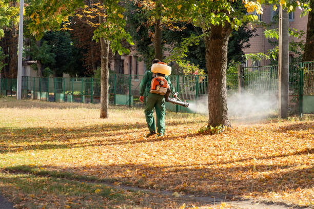 Best Best Pest Control Companies  in Mulberry, NC