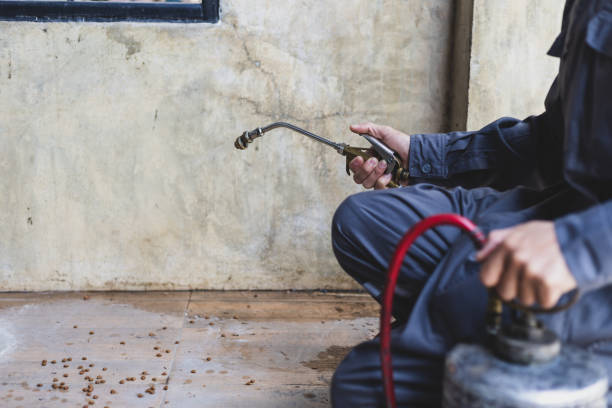 Best Best Pest Control Near Me  in Mulberry, NC