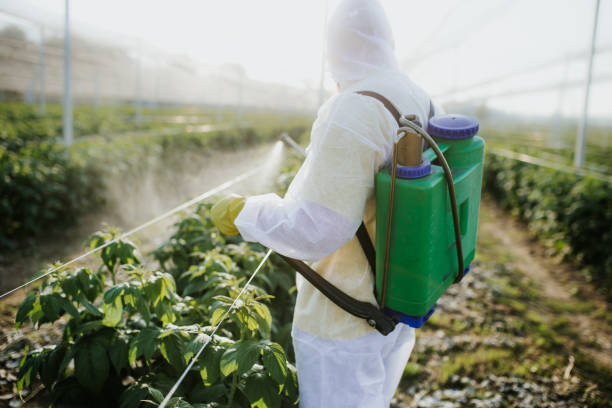 Pest Control Cost in Mulberry, NC
